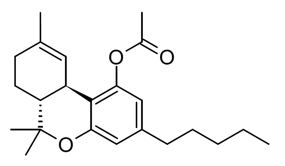 674444242y346.webp