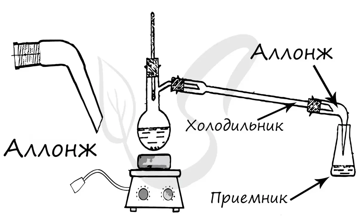 аллонж.webp