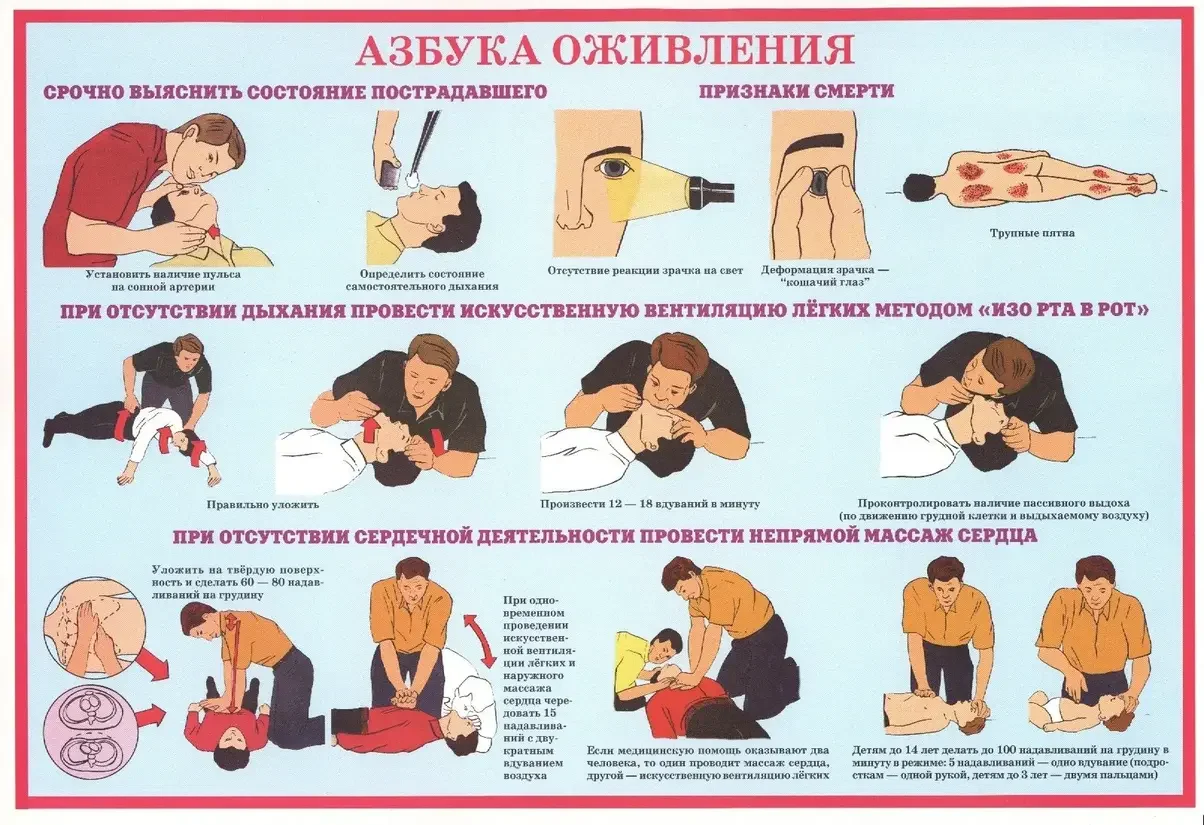 азбука оживления.webp