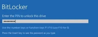 bit.webp