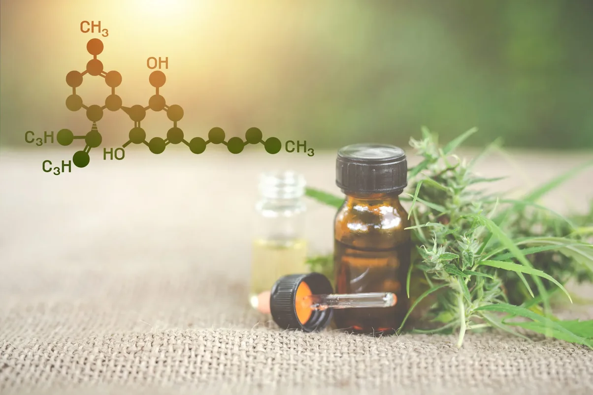 CBD-Hemp-Oil-Leaves_shutterstock.webp