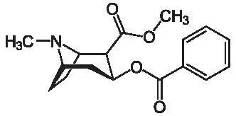 Cocaine.webp
