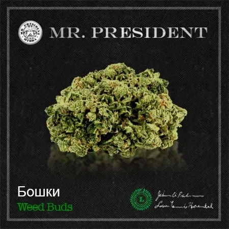 Cookies Kush.webp