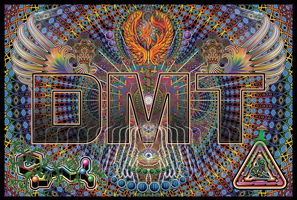 DMT.webp