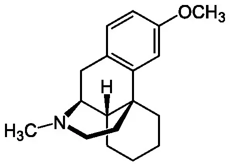 DXM.webp