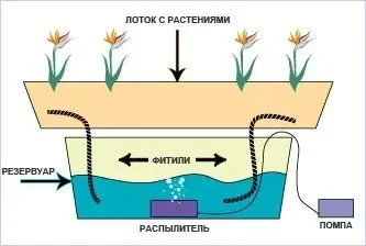 Фитильная система.webp
