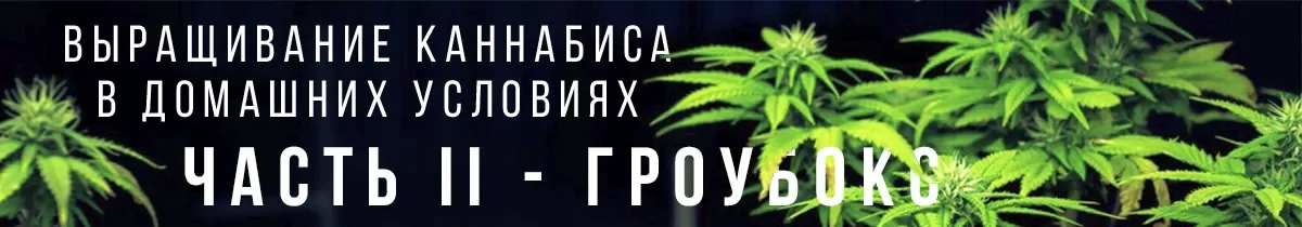 Гроубокс.webp