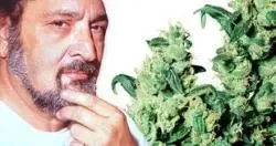 Jack Herer.webp