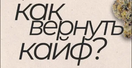 как вернуть кайф.webp