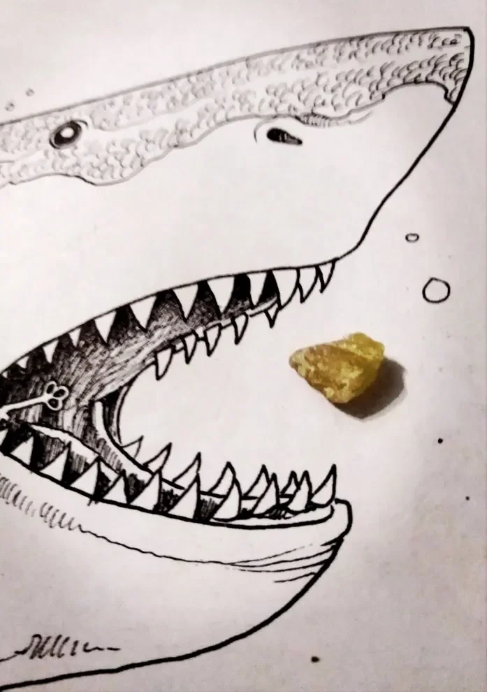 mdma.webp