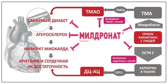 Мельдоний.webp