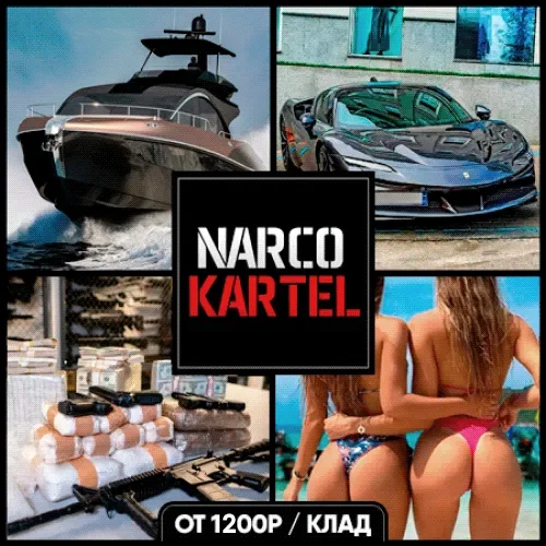 NARCO-KARTEL.webp