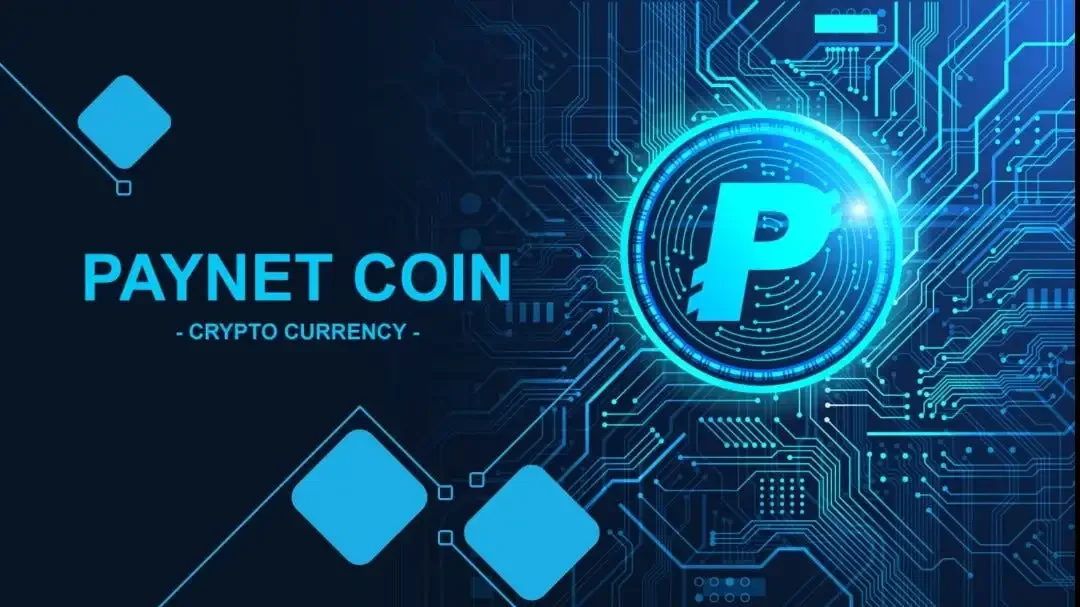 paynet-coin.webp