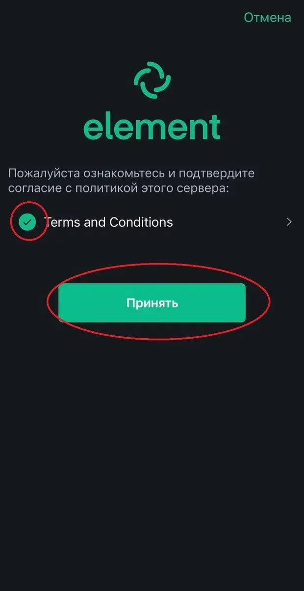 принять.webp