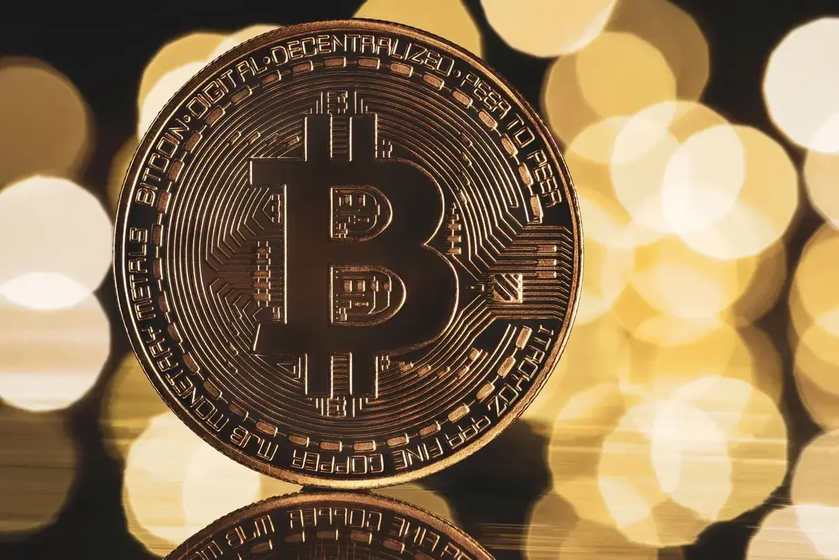 Satoshi Action Education.webp