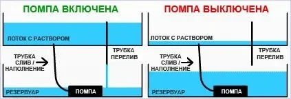 Система периодического затопления.webp