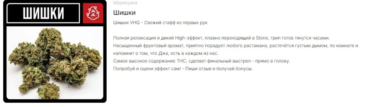 Снимок экрана 2026-08-17 120528.webp