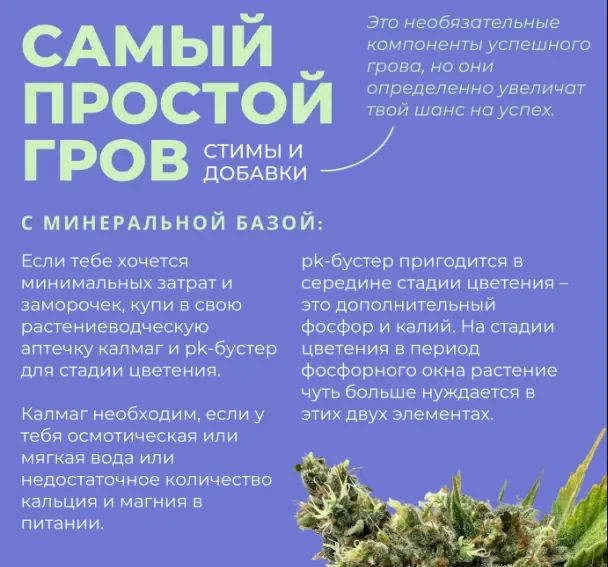 стимы и добавки 2.webp