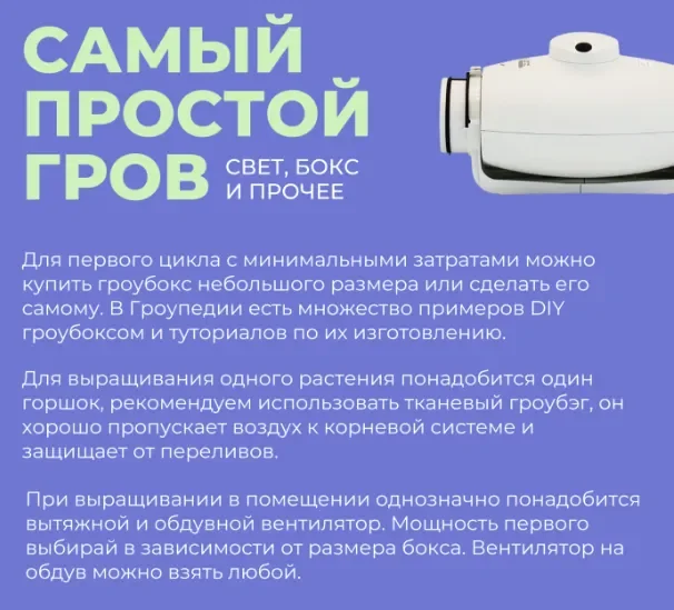 свет бокс.webp