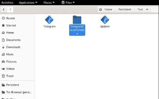 TelegramForcePortable.webp