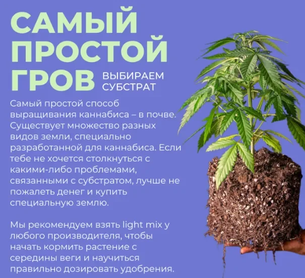 выбираем субстрат.webp
