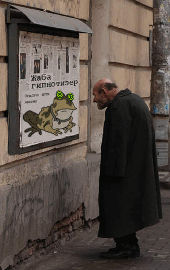 ЖАБИЙ ТРИП.gif