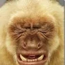 area51romeo