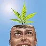 ВасяГубин