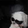 fuckajjxja
