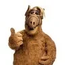 ALF_228