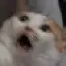 biokreker2