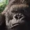MONKEYMONK66